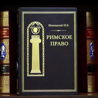 Book «Roman Law»