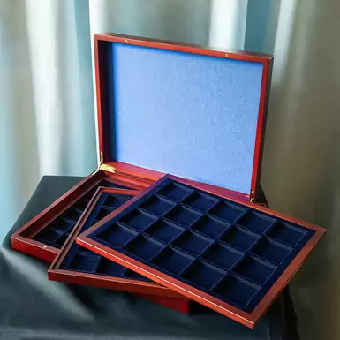 Coin Collecting Case in Swallowtail