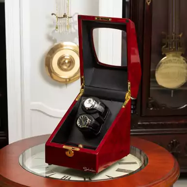 Скринька для зберігання годинників "Disclosure" від Salvadore 