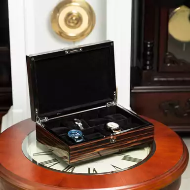 Storage box for watches "Fabulous" from Salvadore 