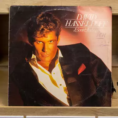 Виниловая пластинка David Hasselhoff – Lovin Feelings