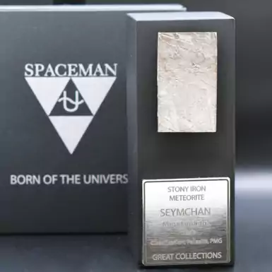 Certified meteorite "Seymchan SM0009", 13.61 g (Magadan region)