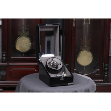 2 watch winder Duetto by Salvadore