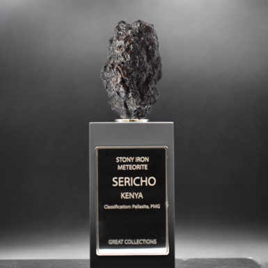 Certified meteorite "Sericho SRH 8002", 312 g (Kenya)