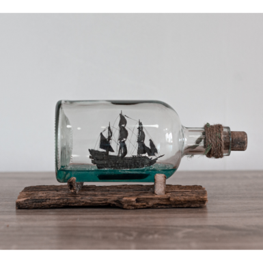 Ship in a bottle "Darkie" handmade