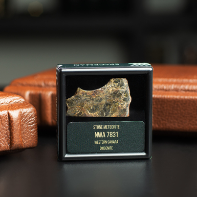 Certified meteorite "NWA 7831 HEDP 0001", 6.04 g (Western Sahara)