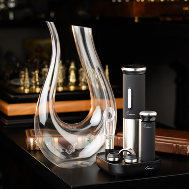 Gift set - a set of wine accessories "Perfection" and a decanter "Ethereal"