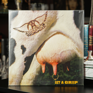 Виниловая пластинка Aerosmith – Get A Grip (1993)