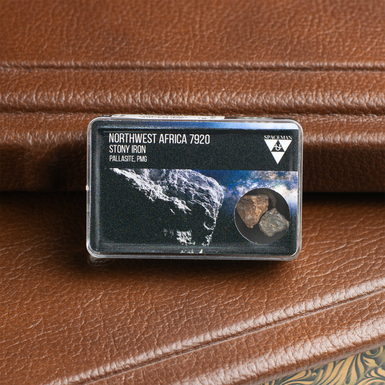 Сертифицированный метеорит "NWA 7920" (Марокко)