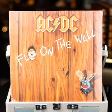 Виниловая пластинка AC/DC – Fly On The Wall (1985)