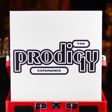 Vinyl record The Prodigy – Experience (1992)