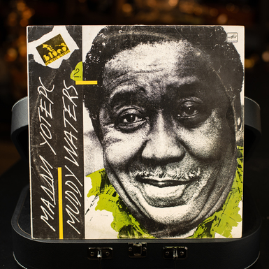 Vinyl record Muddy Waters (1990)