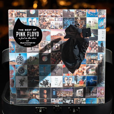 Набор из двух виниловых пластинок Pink Floyd – A Foot In The Door (2018)