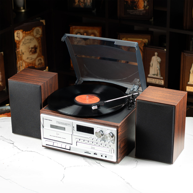 Многофункциональный проигрыватель "Мелодия души"  с 2 динамиками