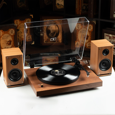 Вініловий програвач з Bluetooth і зовнішніми динаміками "Wave"