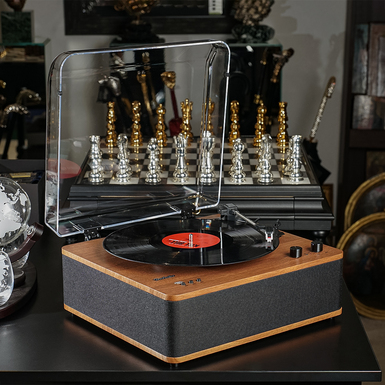 Вініловий програвач в коричневому кольорі "Timber"