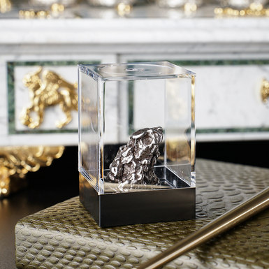 Certified meteorite "Campo Del Cielo", 48.3 g (Argentina)