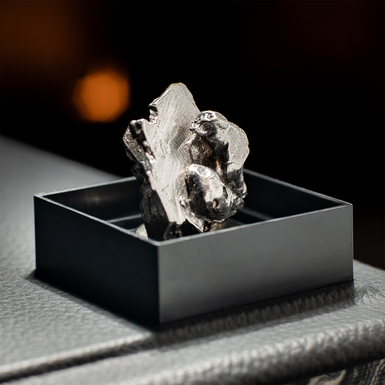 Сертифікований метеорит "Aletai USAI 0060", 26,54 г (Китай)