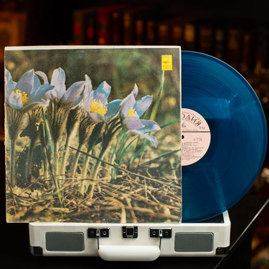Vinyl record: Jazz Orchestra conducted by Nikolai Minkh