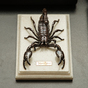 скорпион на мраморной подставке