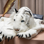 Накидка "Белый тигр"