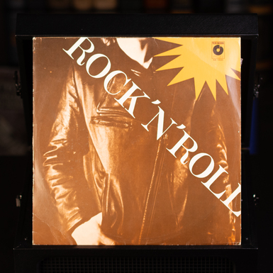 Виниловая пластинка "Rock'n'roll".JPG