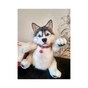 Buy a toy "Husky with a heart"