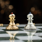 шахові пішаки фото 1
