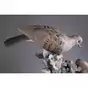 buy a porcelain sculpture of doves