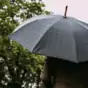 чоловіча парасолька