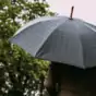 male umbrella