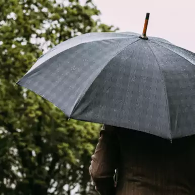 чоловіча парасолька