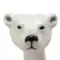 bear's head