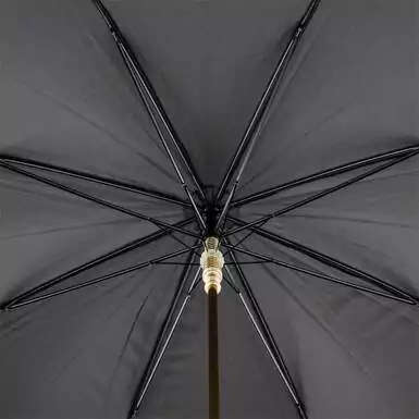 umbrella from the inside