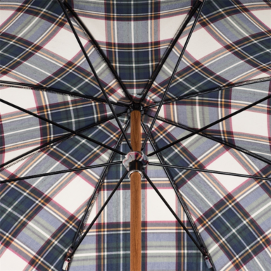 exclusive cane umbrella