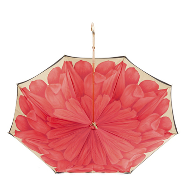 женский зонт с красным цветком