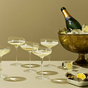 champagne glass from evasolo.png