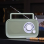 Радиоприёмник Crosley Forte Radio – Sage