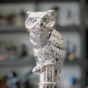 wow video Pasotti ложка для взуття «Owl» з сріблом