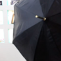 wow video Pasotti парасоля «Golden Lion»