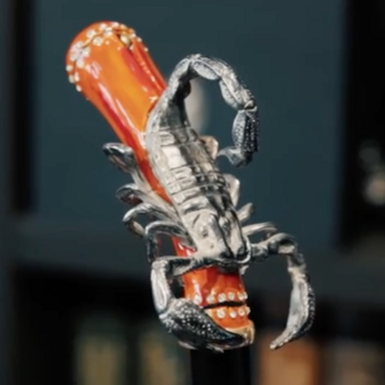 wow video Ложка для обуви "Scorpion" от Pasotti