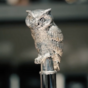 wow video Exclusive men's umbrella «Silver Owl» from Pasotti
