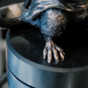 wow video Vizuri - bronze statuette "Rat"