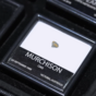 wow video Набір сертифікованих метеоритів (12 шт.) у подарунковому кейсі