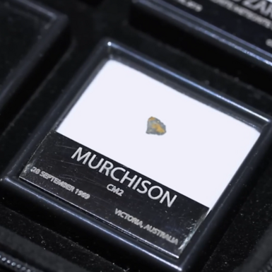 wow video Набор сертифицированных метеоритов (12 шт.) в подарочном кейсе