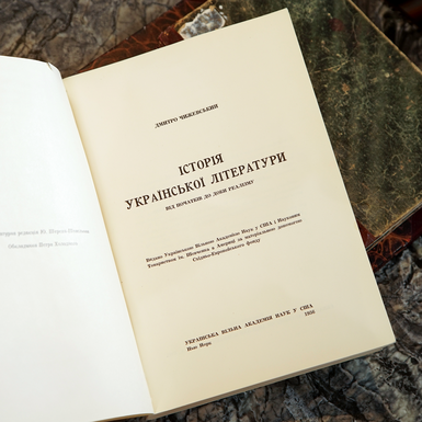 книга Чижевский Д. История украинской литературы