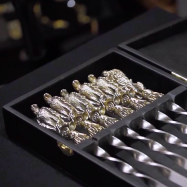 wow video A set of skewers «Birds» in a case