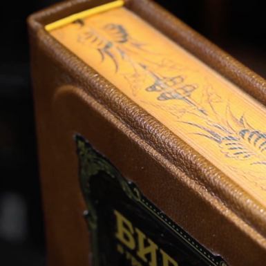 wow video Подарункова Біблія Доре у коробі