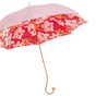 umbrella cane