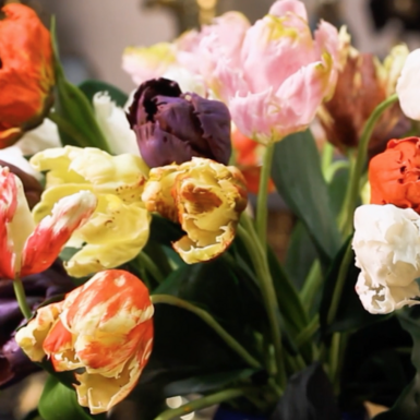 wow video Букет тюльпанів з холодної порцеляни, автор Марина Малиновська